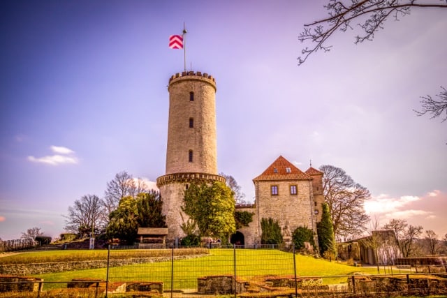 Sparrenburg Owl Web